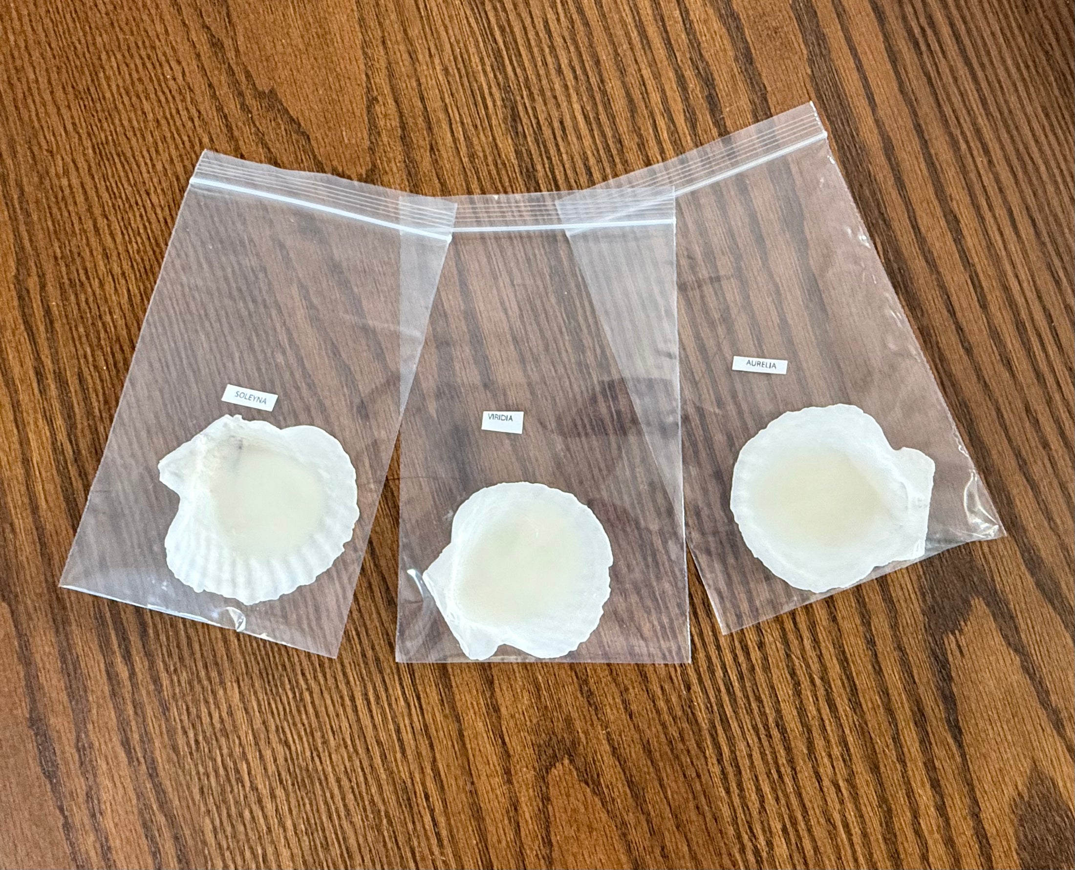 Isla Candle Sample Scent Shells