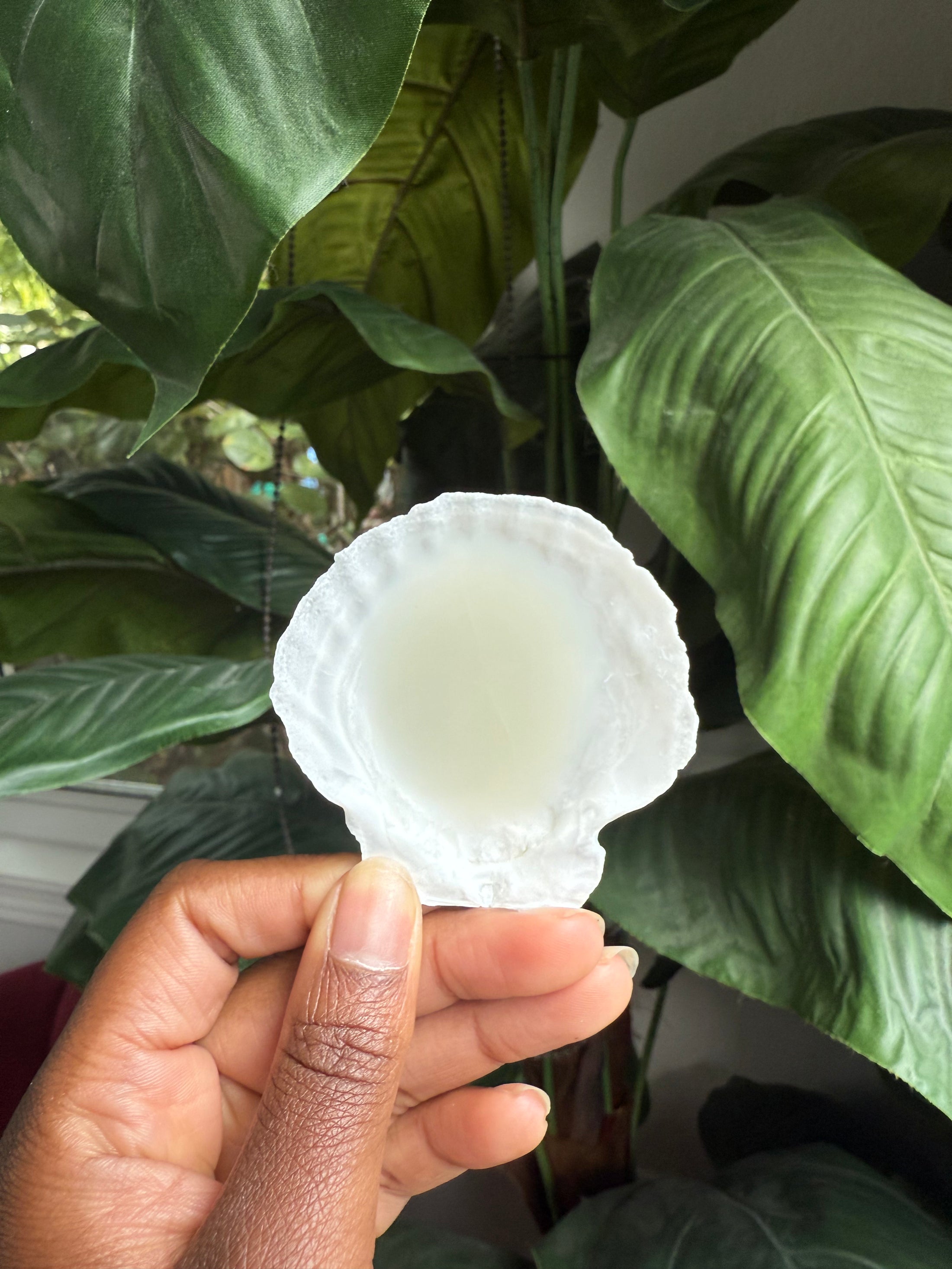 Isla Candle Sample Scent Shells