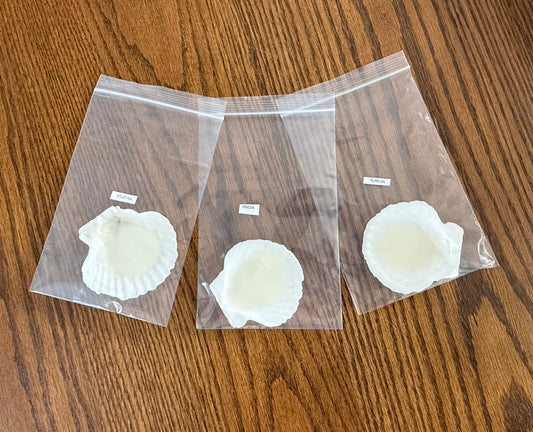 Isla Candle Sample Scent Shells