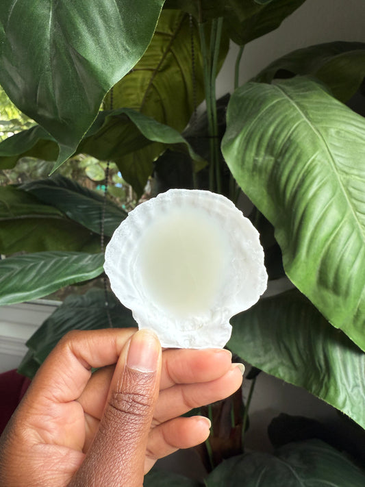 Isla Candle Sample Scent Shells